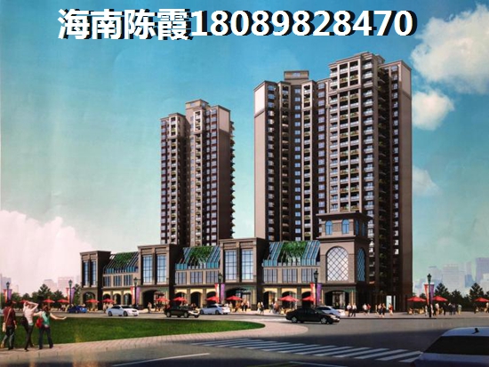 業(yè)主為什么看好陵水縣未來前景？